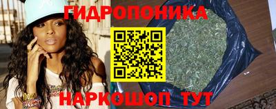 a pvp Будённовск