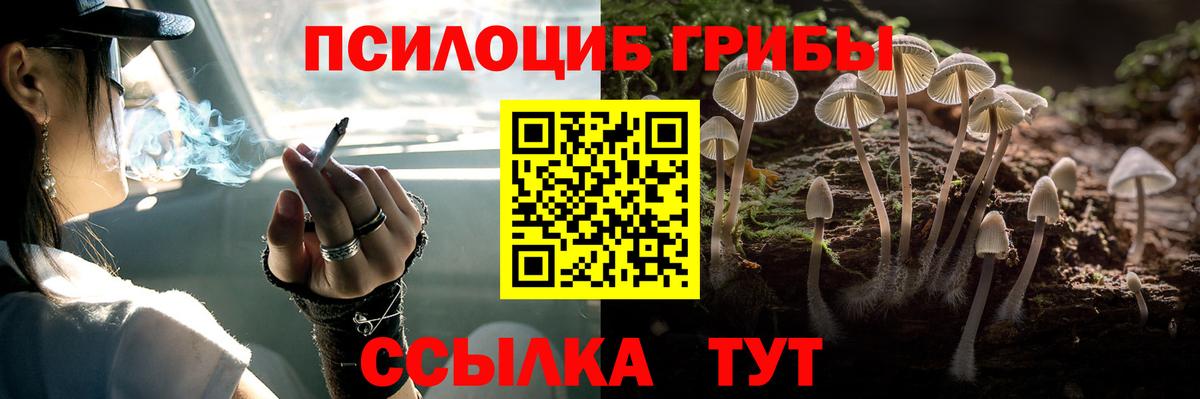 Галлюциногенные грибы прущие грибы Красноперекопск