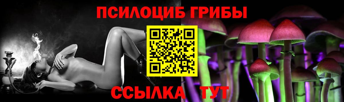Галлюциногенные грибы Psilocybe  купить наркоту  Псилоцибиновые грибы мухоморы  Красноперекопск  Вход с VPN 
